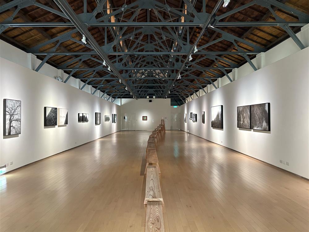 1.《傾聽樹木的聲音-菅野麻依子｜楊奕軒 雙個展》展場全景