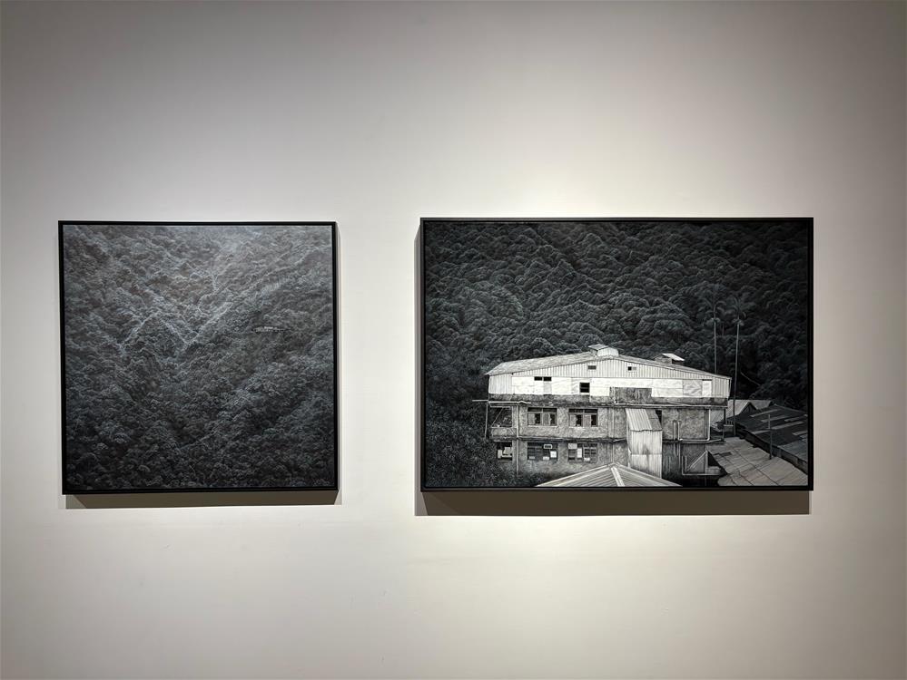 4.《傾聽樹木的聲音-菅野麻依子｜楊奕軒 雙個展》楊奕軒作品2